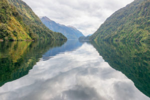 Doubtful Sound, Fiordland National Park, Südinsel, Neuseeland, Doubtful Sound, Fiordland National Park, Südinsel, Neuseeland,